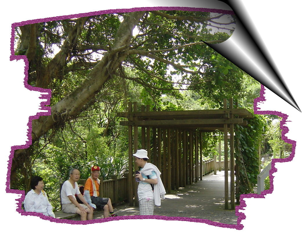 �n�U���s�J�f