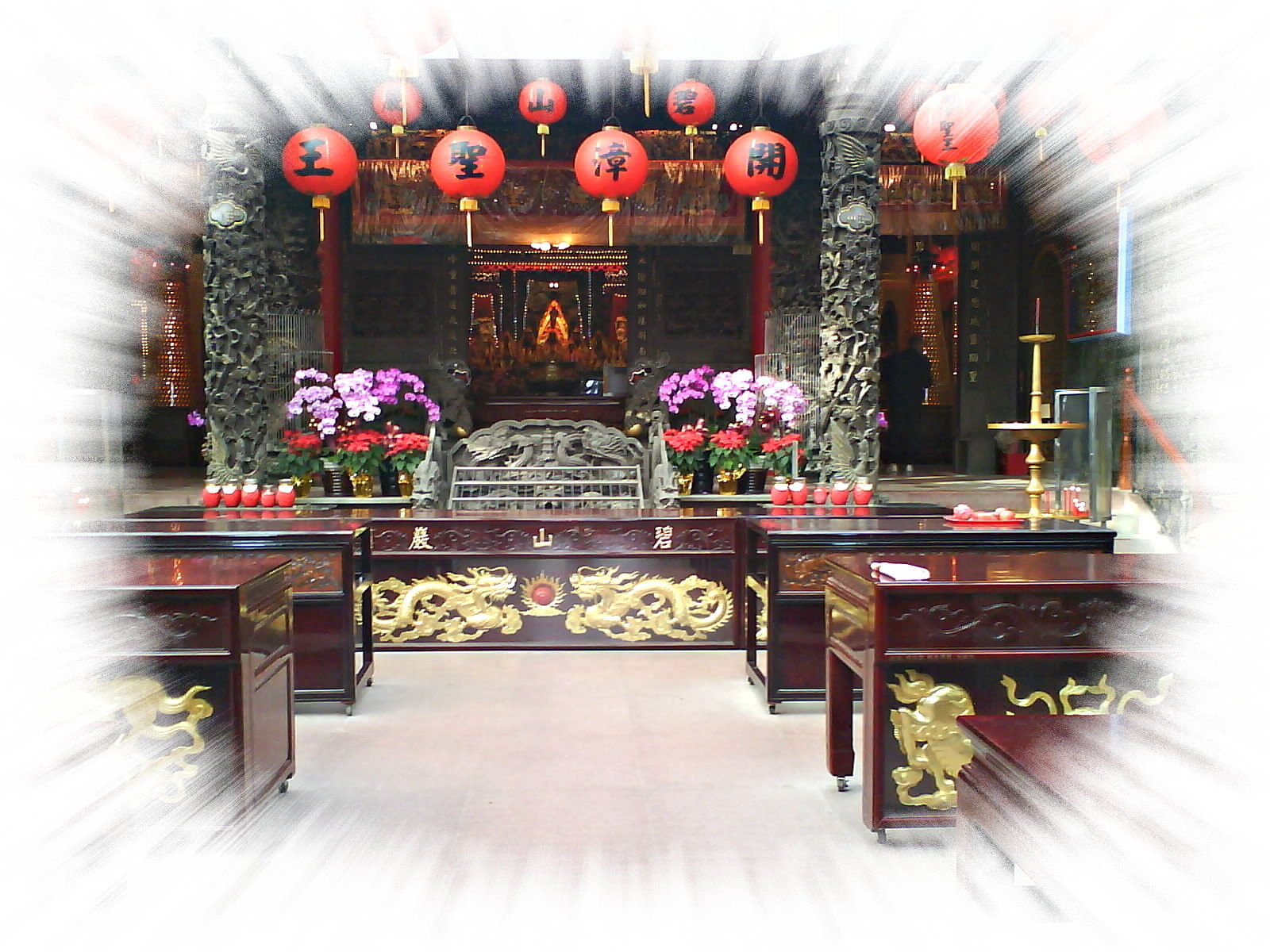 ���q�����{�p