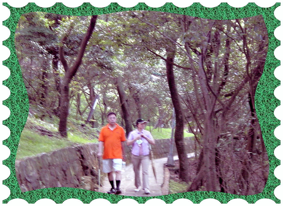 ���R�n�s�B�D