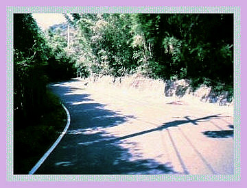 ���D��q���p�}�n